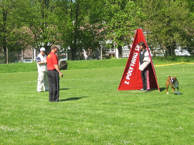 www.atibox.net * www.euroboxer.eu * www.boxergenealogia.eu